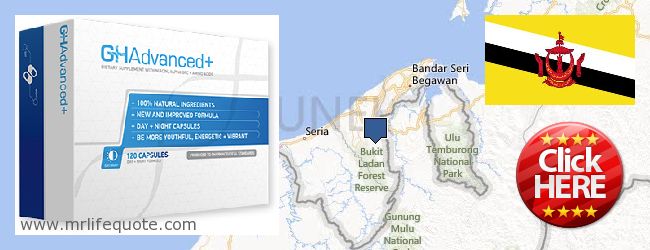 Dove acquistare Growth Hormone in linea Brunei